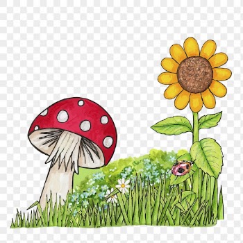 Flower field png sticker, nature | Free PNG - rawpixel
