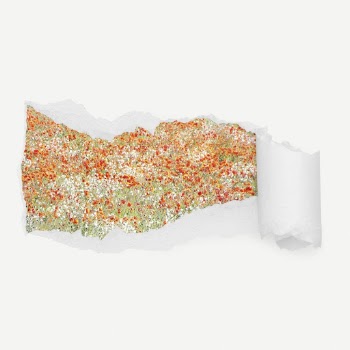 Flower field torn paper reveal | Free PSD - rawpixel