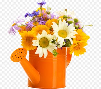 Flower - Filled with flowers shower 