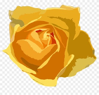 Flower Floral Botanical Plant Nature Botan - Free Flower Vectors Yellow