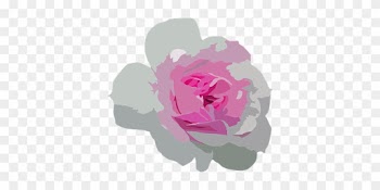 Flower Floral Botanical Plant Nature Botan - Moderne Rosa Und Graue Blumensave The Date Postkarte
