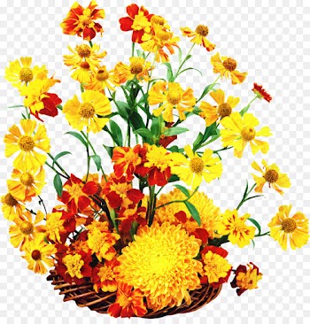 Flower, Floral Design, Autumn, Cut Flowers PNG