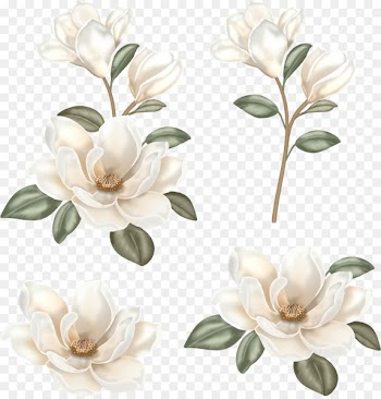 Flower Floral design Clip art - boho flowers 