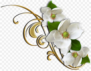 Flower Floral design Clip art - flower 