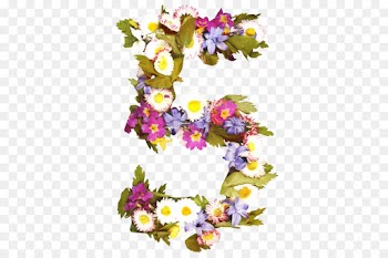 Flower, Floral Design, Cut Flowers PNG