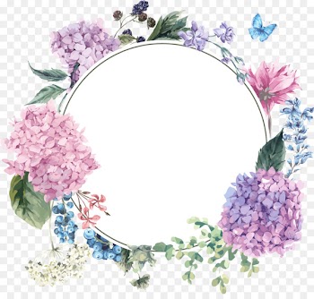 Flower Floral design Drawing Watercolor painting Wreath - hydrangea border 
