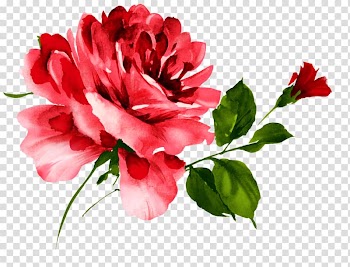 Flower Floral design Duvet Watercolor painting, flower transparent background PNG clipart