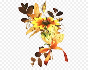 Flower, Floral Design, Flower Bouquet, Leaf PNG