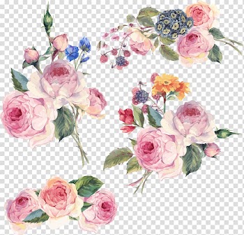 Flower Floral design , Hand-painted flowers , pink flowers illustration transparent background PNG clipart