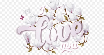 Flower Floral design Magnolia - I love you creative 