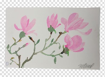 Flower Floral design Petal Cherry blossom, watercolor pink magnolia flower transparent background PNG clipart