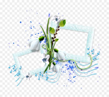 Flower Floral design Photography Image - flower 