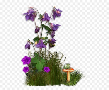 Flower Floral design Portable Network Graphics Clip art - png 