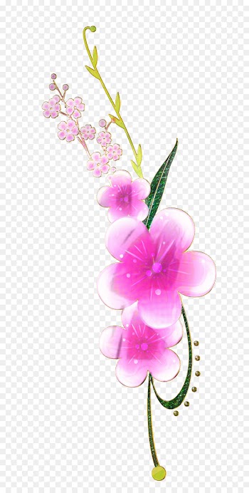 Flower, Floral Design, Rose, Flowering Plant PNG