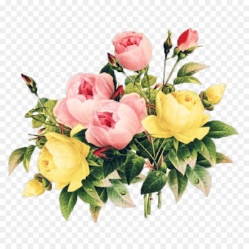 Flower, Floral Design, Vintage Clothing, Flowering Plant PNG