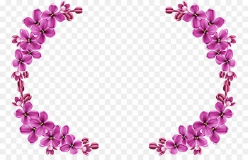 Flower, Flower Bouquet, Desktop Wallpaper, Pink, Purple PNG