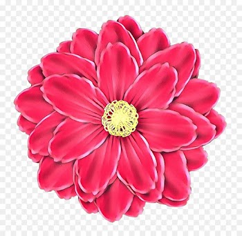 Flower, Flower Bouquet, Floral Design, Petal PNG