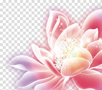 Flower,flower glare,flowers,starlight,mid-autumn festival poster transparent background PNG clipart