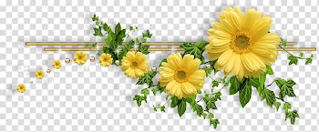 Flower, flower transparent background PNG clipart