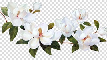 Flower , flower transparent background PNG clipart