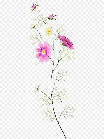 flower flowering plant plant pedicel petal