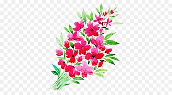 flower flowering plant plant pink cut flowers