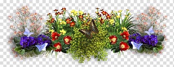 Flower , flowers bloom transparent background PNG clipart