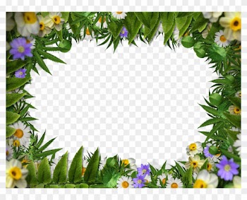 Flower Frame Border Png With Green Leaves Background - Transparent Background Leaf Border