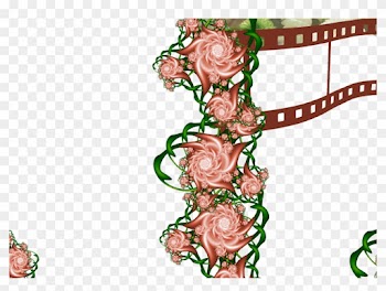Flower Frame Psd And Png Frames Genuardis Portal - Garden Roses