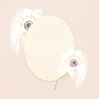 Flower frame PSD, white anemone abstract art | Free stock illustration | High Resolution graphic