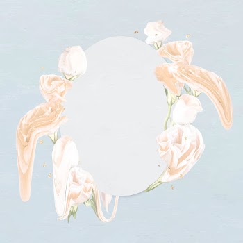 Flower frame vector, white rose abstract art | Free stock illustration | High Resolution graphic