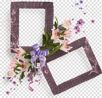 Flower Frames Floral design, flower transparent background PNG clipart
