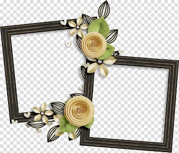 Flower Frames Garden roses Beach rose, frames transparent background PNG clipart