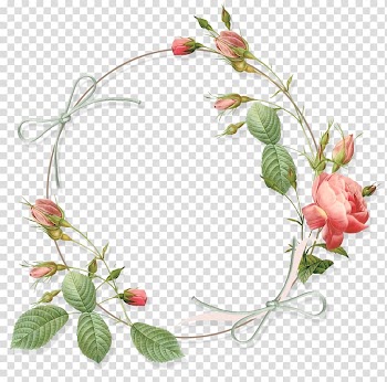 Flower Frames Rose , Mary transparent background PNG clipart