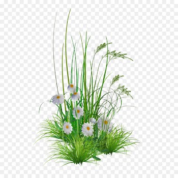 Flower garden Clip art - GARDEN 
