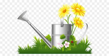 Flower garden Clip art - Spring Decoration with Water Can Grass and Flowers PNG Clipart 