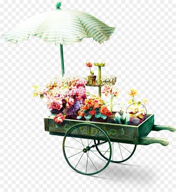 Flower garden Floristry - Parasol flowers 