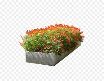 Flower Garden - flower bed 