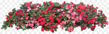Flower garden Grow light Raised-bed gardening - balcony 