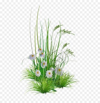 Flower garden Lawn Clip art - Transparent Flower Png Hd Background 