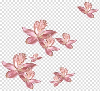 Flower Garden roses Birthday Holiday Collage, GOLD ROSE transparent background PNG clipart