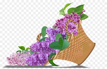 Flower Garden roses Blue rose Lilac Floral design - flower 