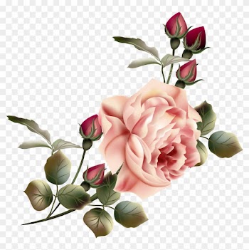 Flower Garden Roses Clip Art - Beautiful Victorian Roses Throw Blanket