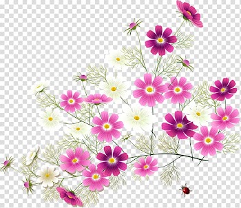 Flower Garden roses , flower transparent background PNG clipart