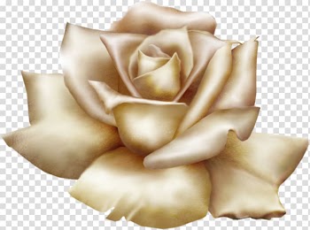 Flower Garden roses , GOLD ROSE transparent background PNG clipart