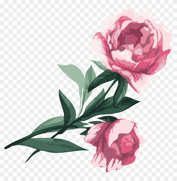 Flower Garden Roses Peony Clip Art - Garden Roses