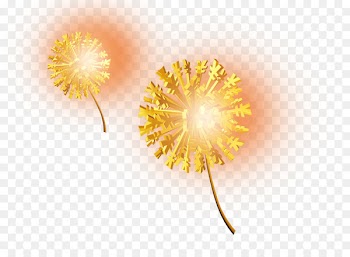 Flower Gold Computer file - Golden Flower 