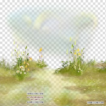 Flower Grass Herbaceous plant , spa-girl transparent background PNG clipart