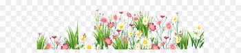 Flower Grasses Clip art - Flowers and Grass PNG Picture Clipart 