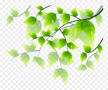 Flower Green Floral Design Clip Art - Flower Green Floral Design Clip Art
